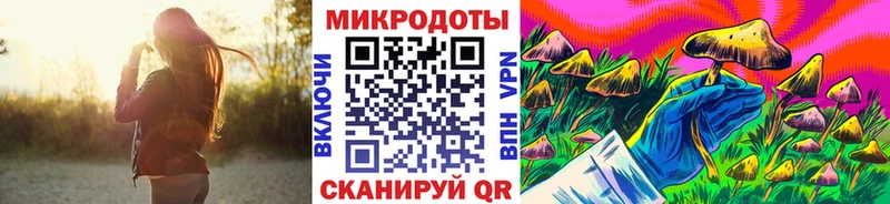 Галлюциногенные грибы Psilocybine cubensis  KRAKEN ONION  Нерюнгри  наркота 